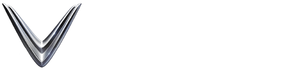 Ánh Dương – Tư vấn xe VinFast Ngọc Anh